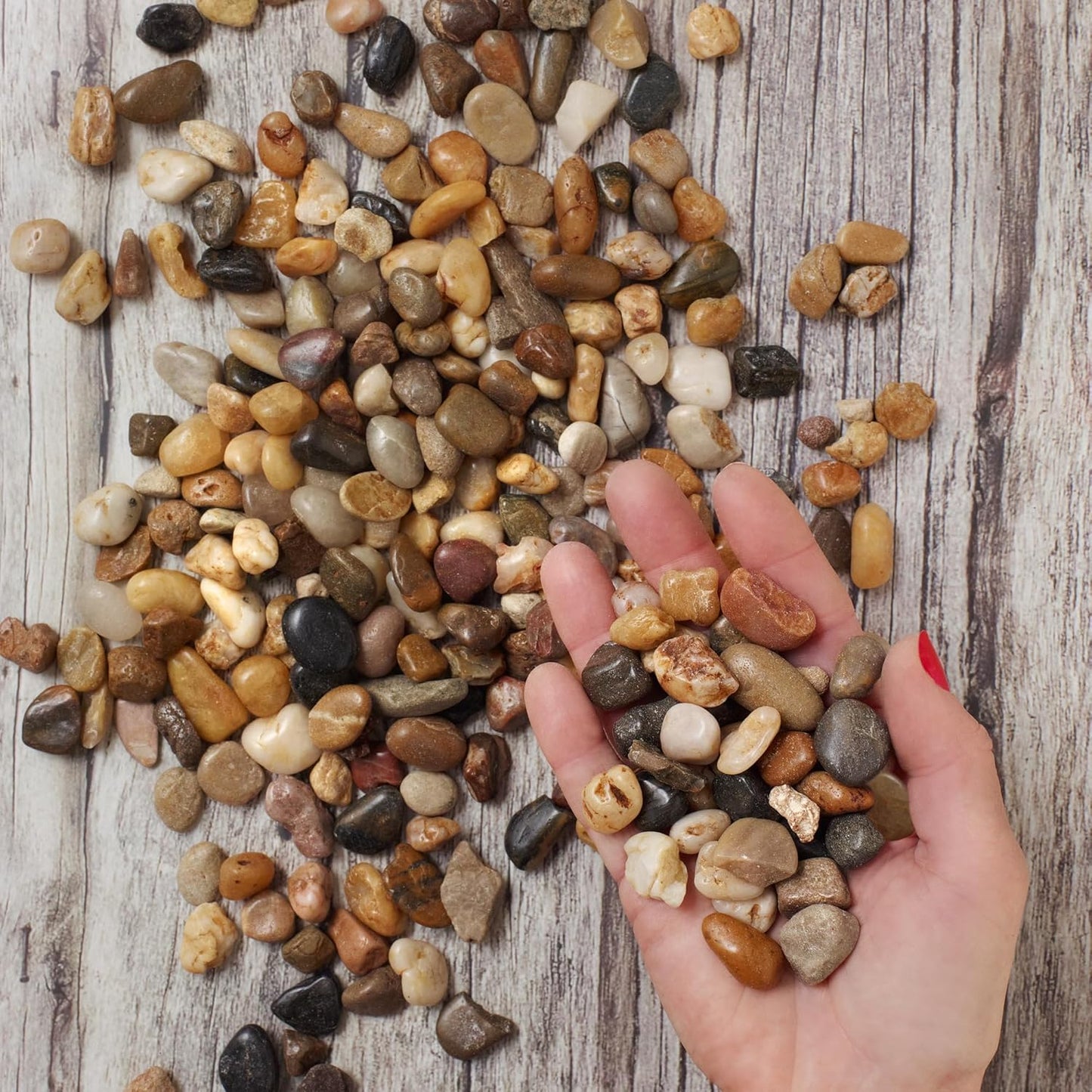 Royal Imports 30LBS River Rocks Decorative Ornamental Pebbles, Garden Landscaping Stones, Gravel
