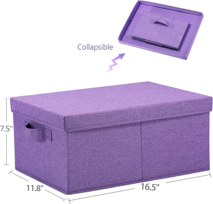 HOONEX Foldable Storage Bins with Lids, Pack of 2, Storage Boxes with 2 Carrying Handles and Sturdy
