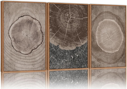 SIGNINART Beige Tree Ring Framed Canvas Wall Art Set, Abstract Black and White Rustic Wood Wall