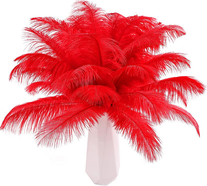 THARAHT Red Ostrich Feathers 12pcs Natural Bulk 8-10Inch 20cm-25cm for Crafts Wedding Party