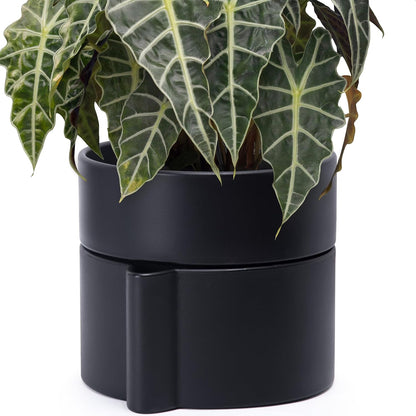 Phoenix Vine 8 Inch Self-Watering Planter Pot with Terracotta Insert, Deep Water Reservoir, and
