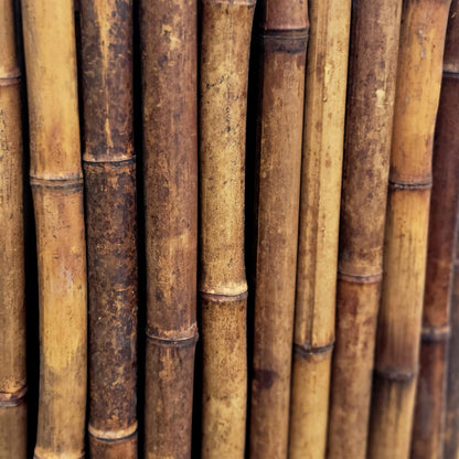 Backyard X-Scapes Bamboo Fencing 6 Feet High Outdoor Decorative Rolled Fence Panel, Caramel Brown 6