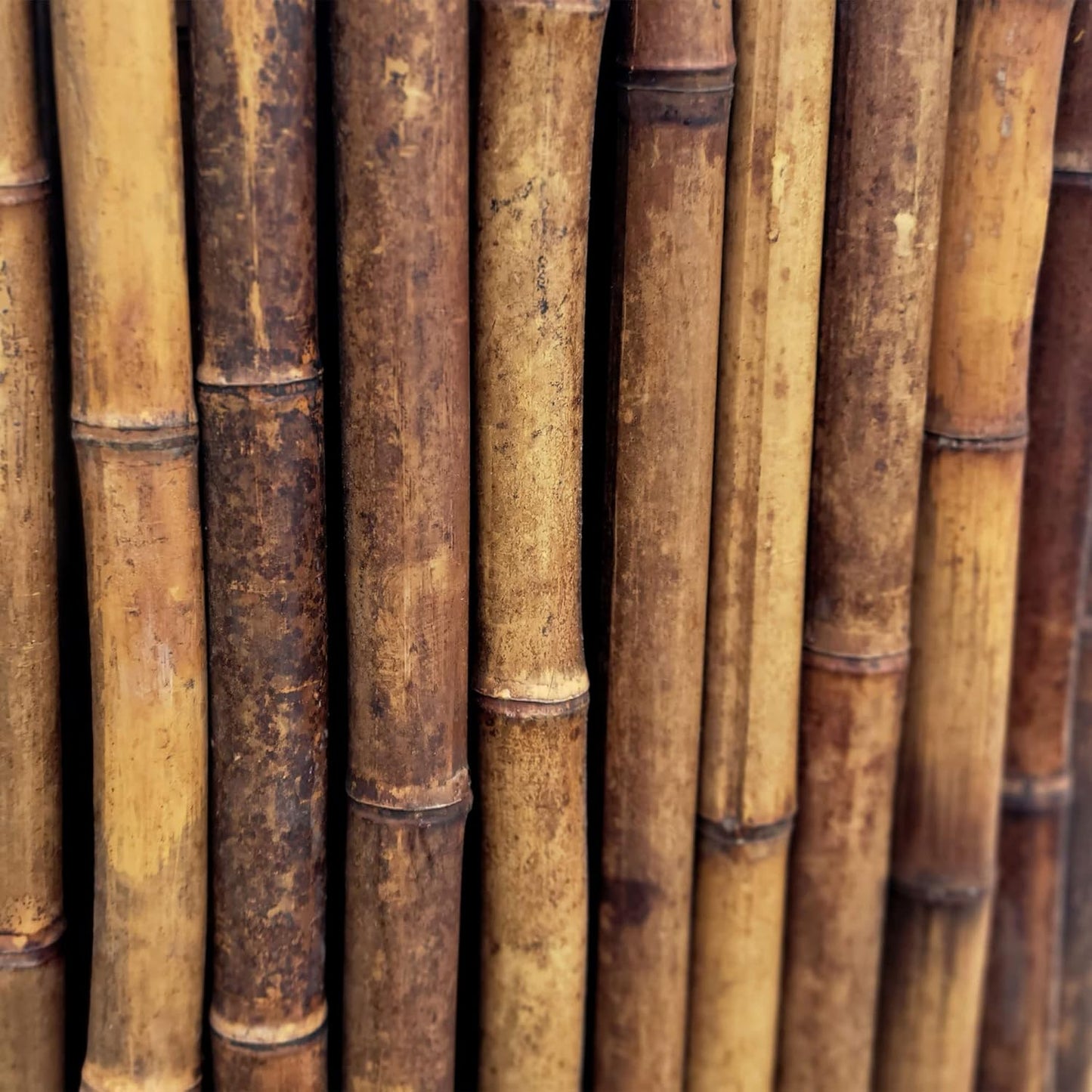 Backyard X-Scapes Dark Bamboo Fence Privacy Screen Decorative Fence Roll Panels, Caramel Brown 3 ft