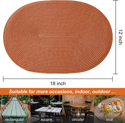 AHHFSMEI Placemats Set of 6 for Dining Table Washable Woven Vinyl Non-Slip 18x12 inches Placemat