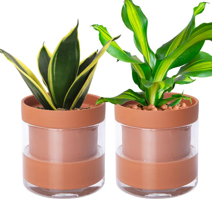 Phoenix Vine 6 Inch Self Watering Planter Pot, Terracotta Clay Pot with Glass Reservoir for Indoor