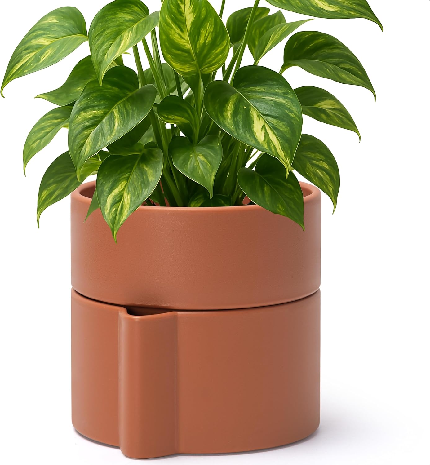 Phoenix Vine 6.5 Inch Self-Watering Planter Pot with Terracotta Insert, Deep Water Reservoir, and