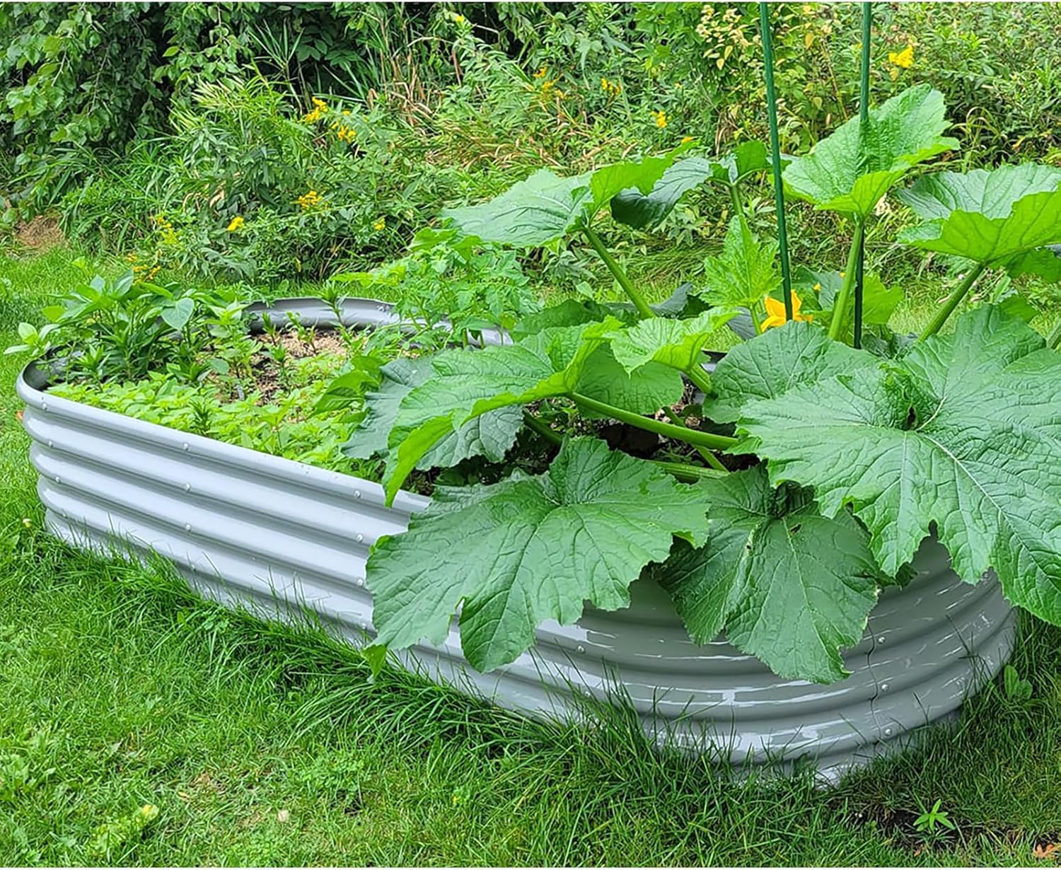 1 Pack 8x3x1.5FT Galvanized Raised Garden Bed Kit Oval Metal Ground Planter Box Outdoor Bottomless