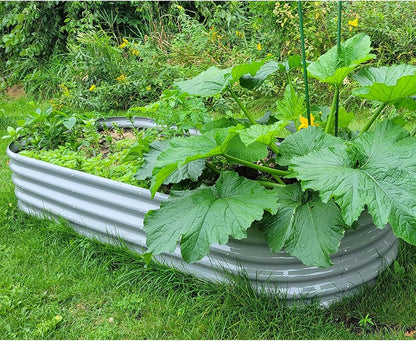 1 Pack 8x3x1.5FT Galvanized Raised Garden Bed Kit Oval Metal Ground Planter Box Outdoor Bottomless