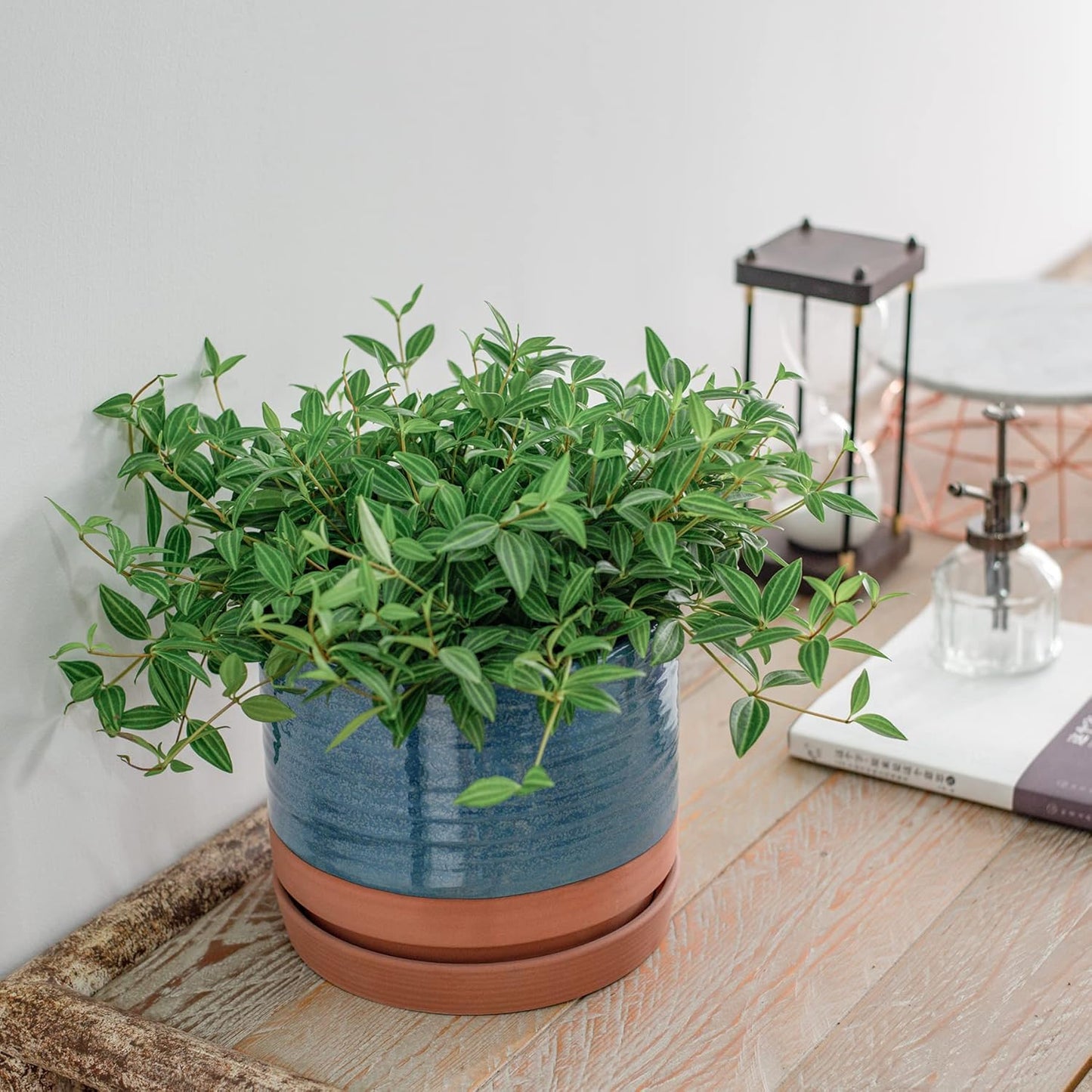 8 Inch Pots for Plants, Ceramic Planter Pot with Drainage Hole & Saucer, Indoor/Outdoor Cylinder