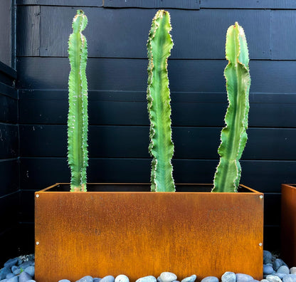 DIY CARTEL Corten Steel Rectangular Outdoor Planter Box, Rustic & Modern Farmhouse Design, Large