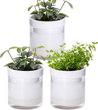 Phoenix Vine 4 Inch Self Watering Planter, White Terracotta Clay Pot with Glass Reservoir for