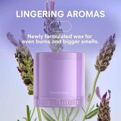 Boy Smells Lavender Candle - 8.5 oz - Luxury Candle with Lemon, Lavander, and Vetiver - Up to