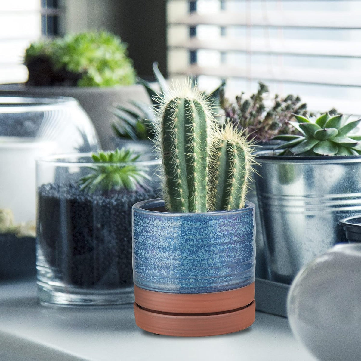 6 Inch Plant Pots, Ceramic Planter Pot with Drainage Hole & Saucer, Indoor/Outdoor Cylinder Round