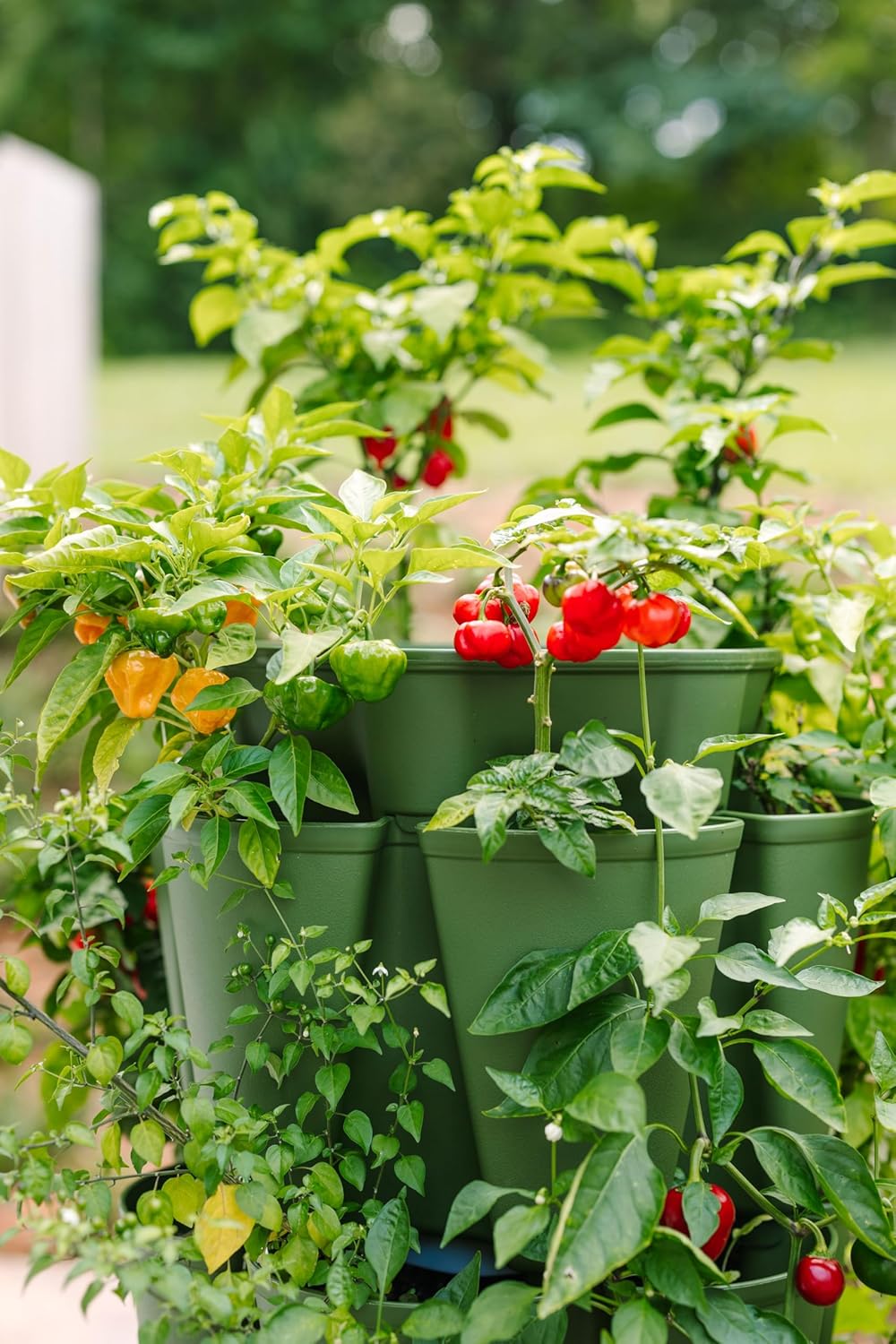 Greenstalk Patented Large 5 Tier Vertical Garden Planter with Patented Internal Watering System