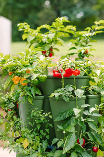 Greenstalk Patented Large 5 Tier Vertical Garden Planter with Patented Internal Watering System