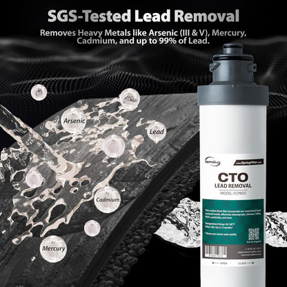 iSpring SGS-Tested Lead Removal CTO Carbon Block Replacement Water Filter Cartridge FCPBDS for DS4