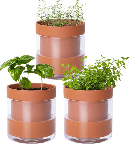 Phoenix Vine 4 Inch Self Watering Planter Pot, Terracotta Clay Pot with Glass Reservoir for Indoor