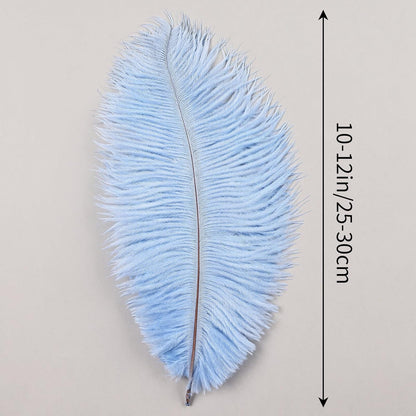 THARAHT Light Purple Ostrich Feathers 12pcs Natural Bulk 10-12Inch 25cm-30cm for Crafts Wedding