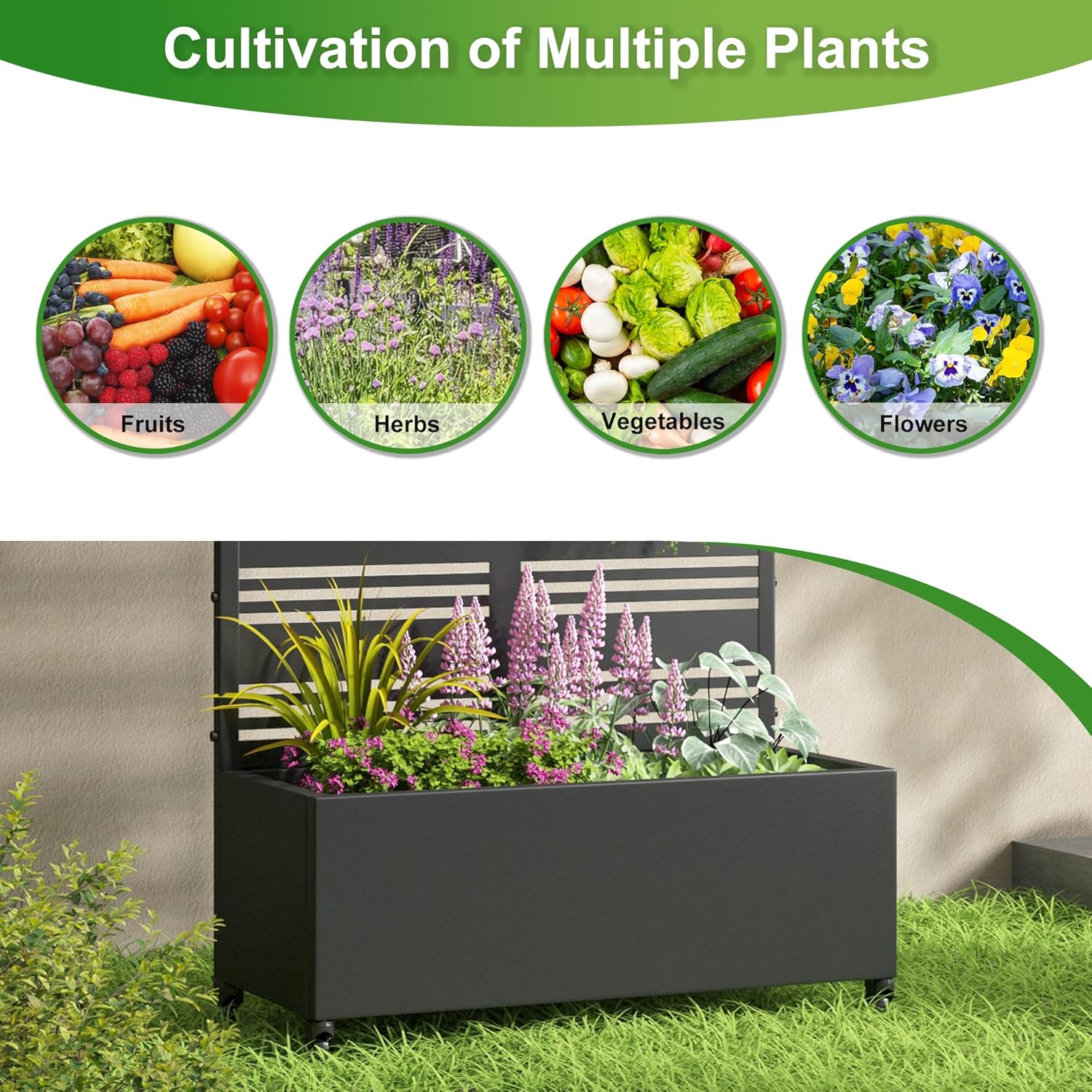 Casaphoria Metal Raised Garden Bed with Trellis and Wheels, 72"x47"x16" Planter Box for Climbing