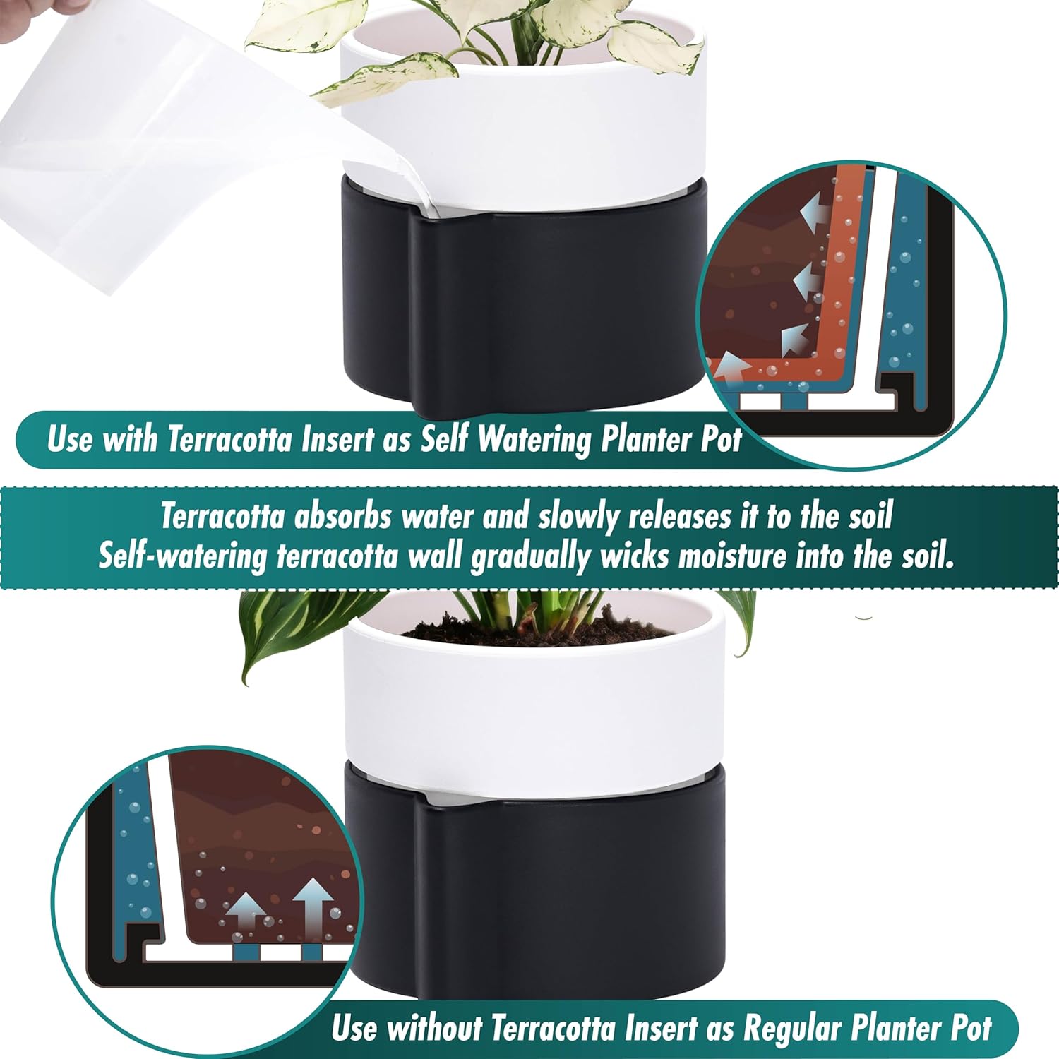 Phoenix Vine 6.5 Inch Self-Watering Planter Pot with Terracotta Insert, Deep Water Reservoir, and
