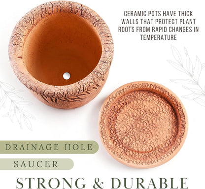 Ceramic Pot with Drainage Hole and Saucer, Plant Pots, Modern Decorative Planters for House Plants