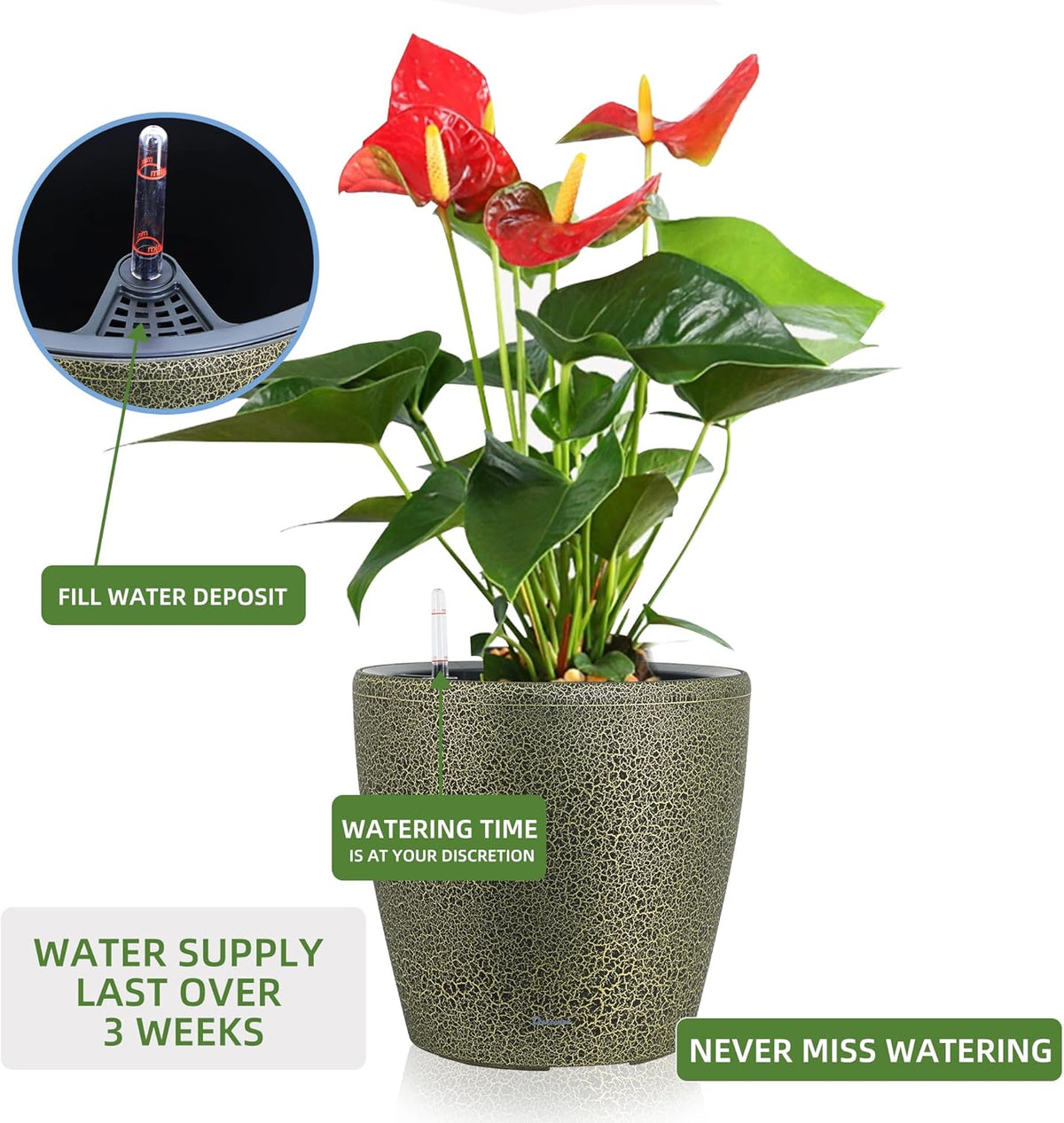 Dexceder 13x12 Self Watering Planter with Wheels Indoor Outdoor, Inner Pot Design, Thickened Large