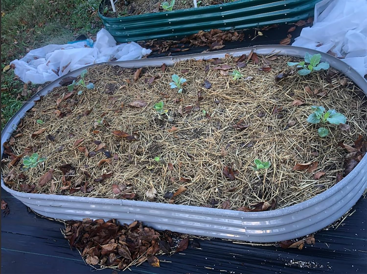 2 Pack 8x4x1FT Galvanized Raised Garden Bed Kit Oval Metal Ground Planter Box Outdoor Bottomless