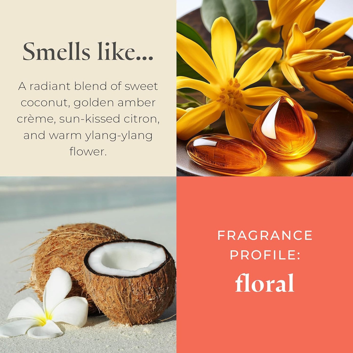 PartyLite Coastal Amber & Shea Scented, Notes of Ylang Flower, Citron, Sweet Coconut & Amber Creme