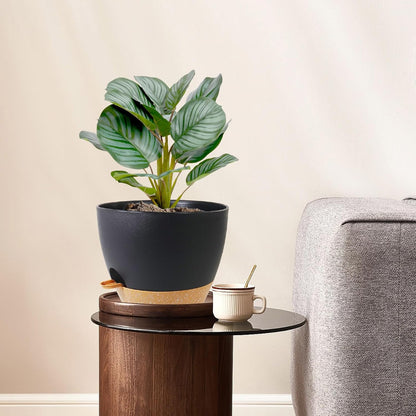 12/10/9 inch Large Self Watering Pots, Planter, Plant Pots with Mesh Drainage Holes for Indoor
