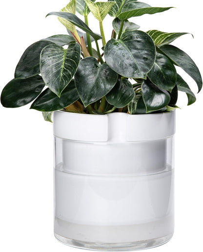 Phoenix Vine 10 Inch Self Watering Planter, White Terracotta Clay Pot with Glass Reservoir for