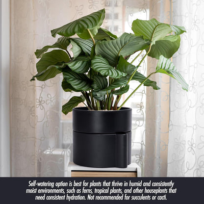 Phoenix Vine 8 Inch Self-Watering Planter Pot with Terracotta Insert, Deep Water Reservoir, and