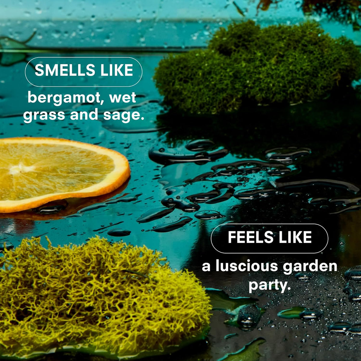 Boy Smells Grass Scented Candle - 8.5 oz - Home Candle with Bergamot, Fresh Sage, and Wild Grass