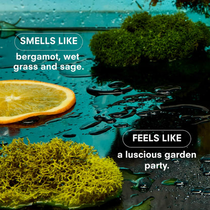 Boy Smells Grass Scented Candle - 8.5 oz - Home Candle with Bergamot, Fresh Sage, and Wild Grass