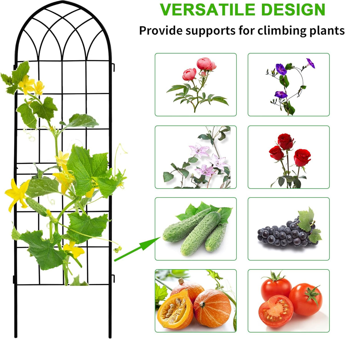 LZRS 2 Pack 71x20in Rustic Iron Arch Decoration Garden Trellis with Black Metal Coating – Perfect