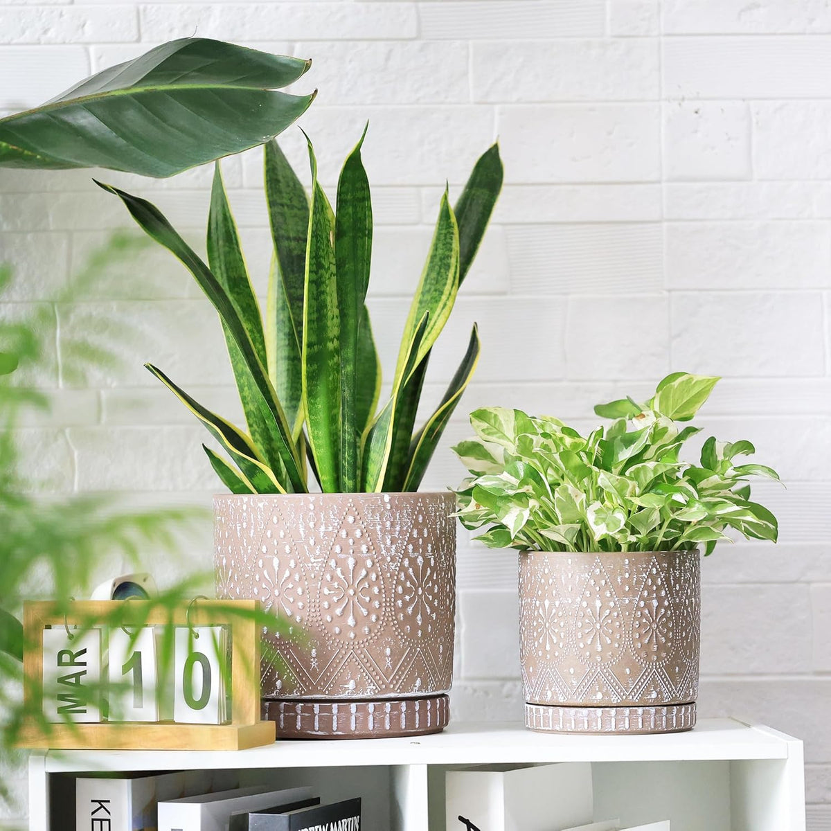 8 Inch + 6 Inch Plant Pot with Drainage Holes and Saucers, Indoor Ceramic Planter for Plants
