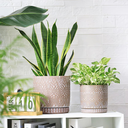 8 Inch + 6 Inch Plant Pot with Drainage Holes and Saucers, Indoor Ceramic Planter for Plants