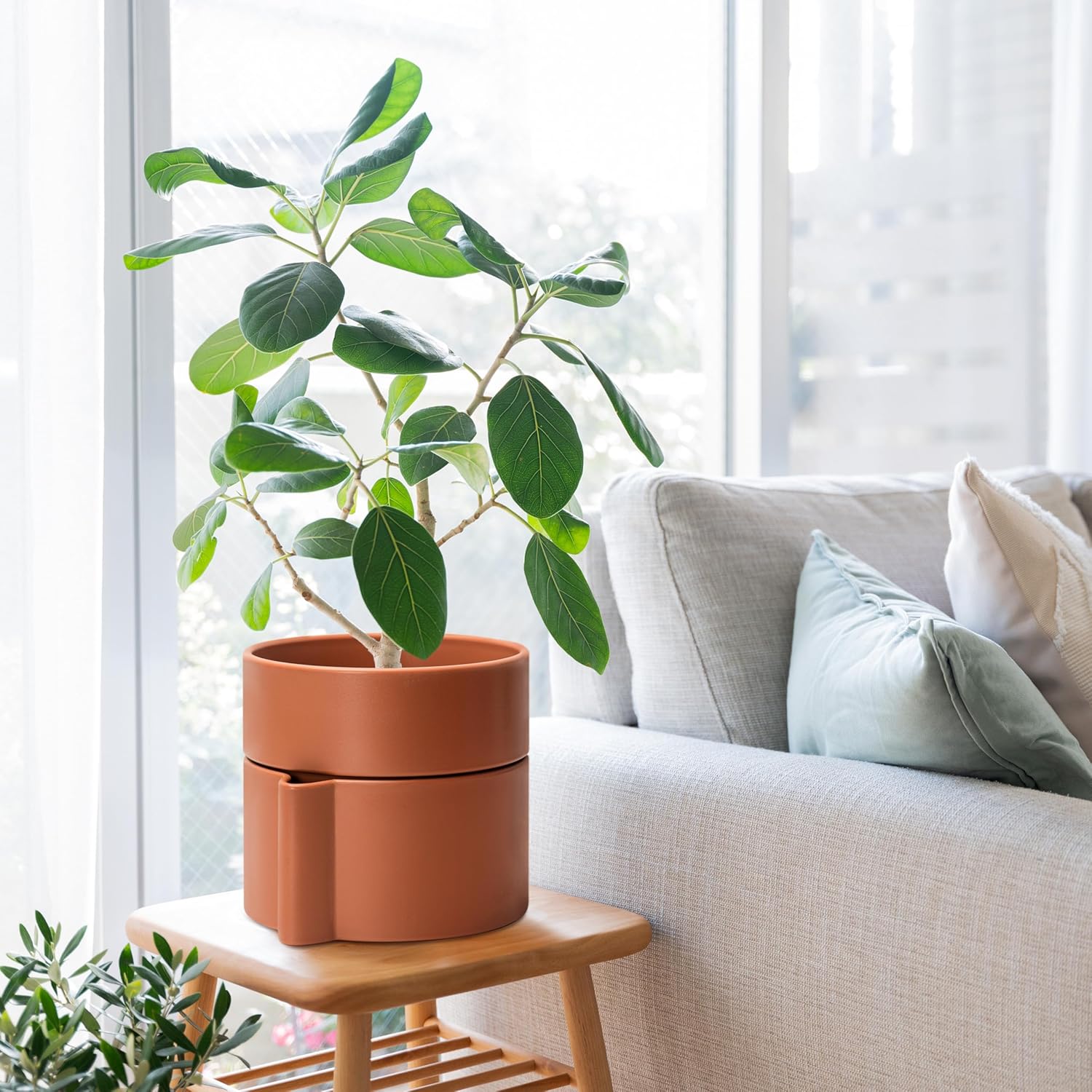 8 Inch Self-Watering Planter Pot with Terracotta Insert, Deep Water Reservoir, and Ceramic-Alike