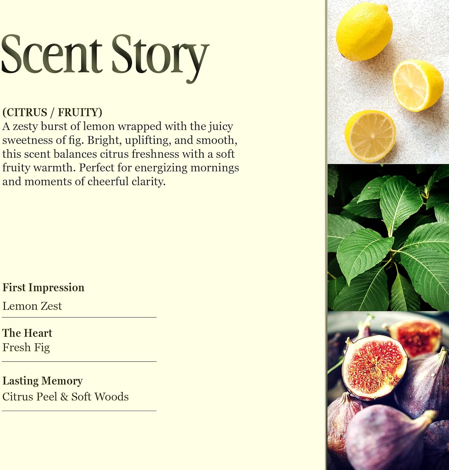 Scented Luxury Citronella Candles outdoor, Mosquito Bug Repellent | Handmade Ceramic Jars, Soy Wax