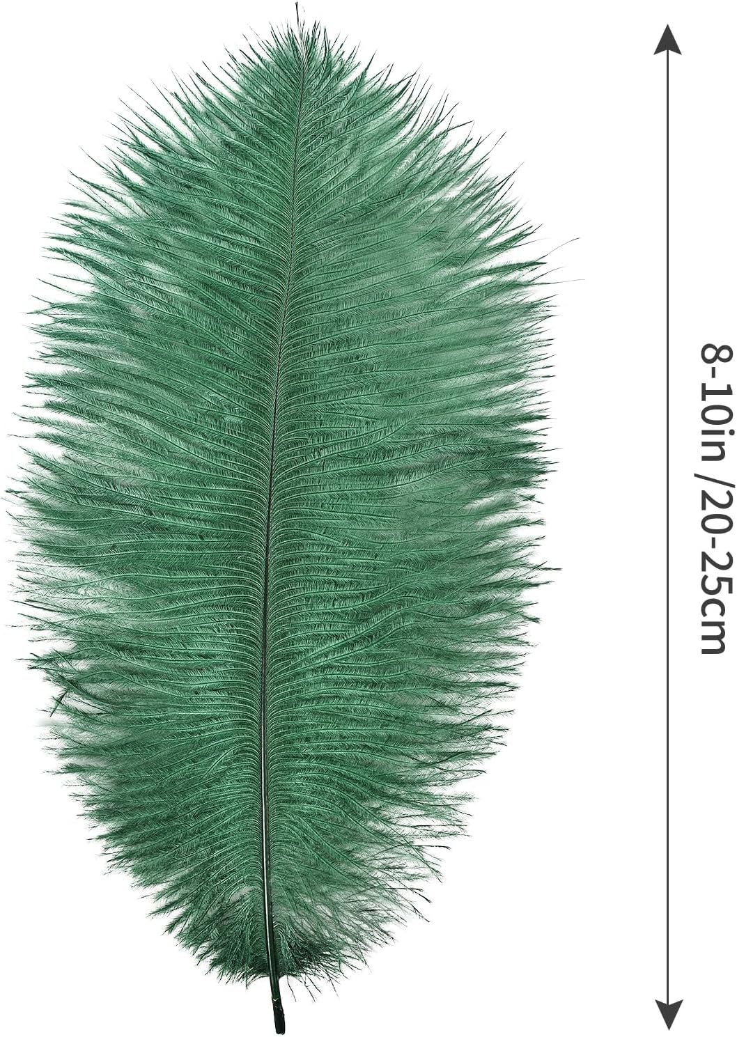 THARAHT Blackish Green Ostrich Feathers 12pcs Natural Bulk 8-10Inch 20cm-25cm for Crafts Wedding