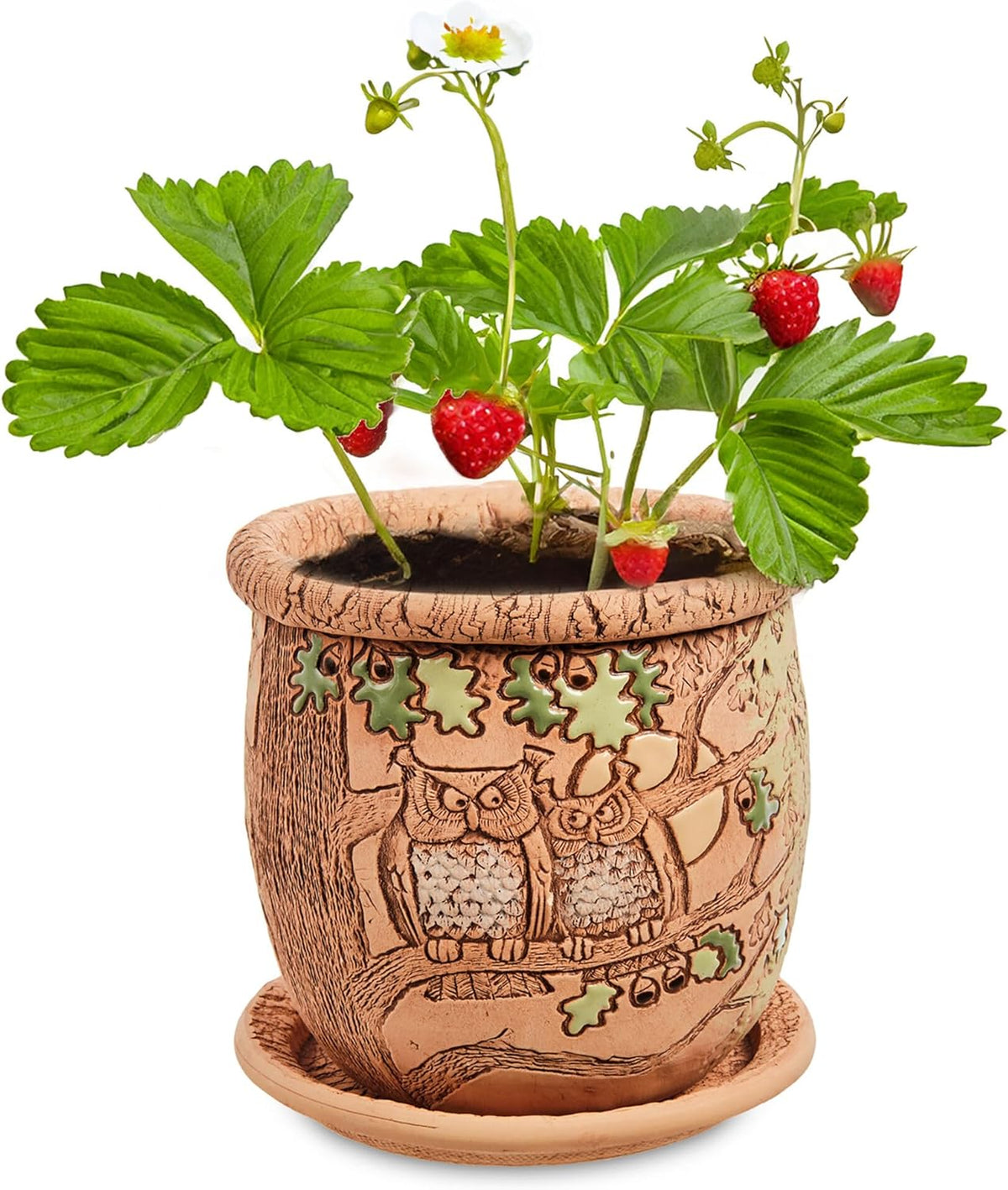Ceramic Pot with Drainage Hole and Saucer, Plant Pots, Modern Decorative Planters for House Plants
