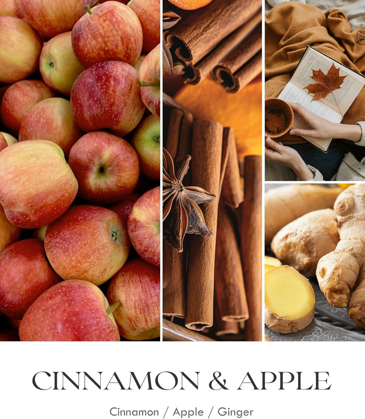 AOOVOO Apple Cinnamon Candles - 22 oz Scented Candles, Aromatherapy Candle, Soy Candle for Home