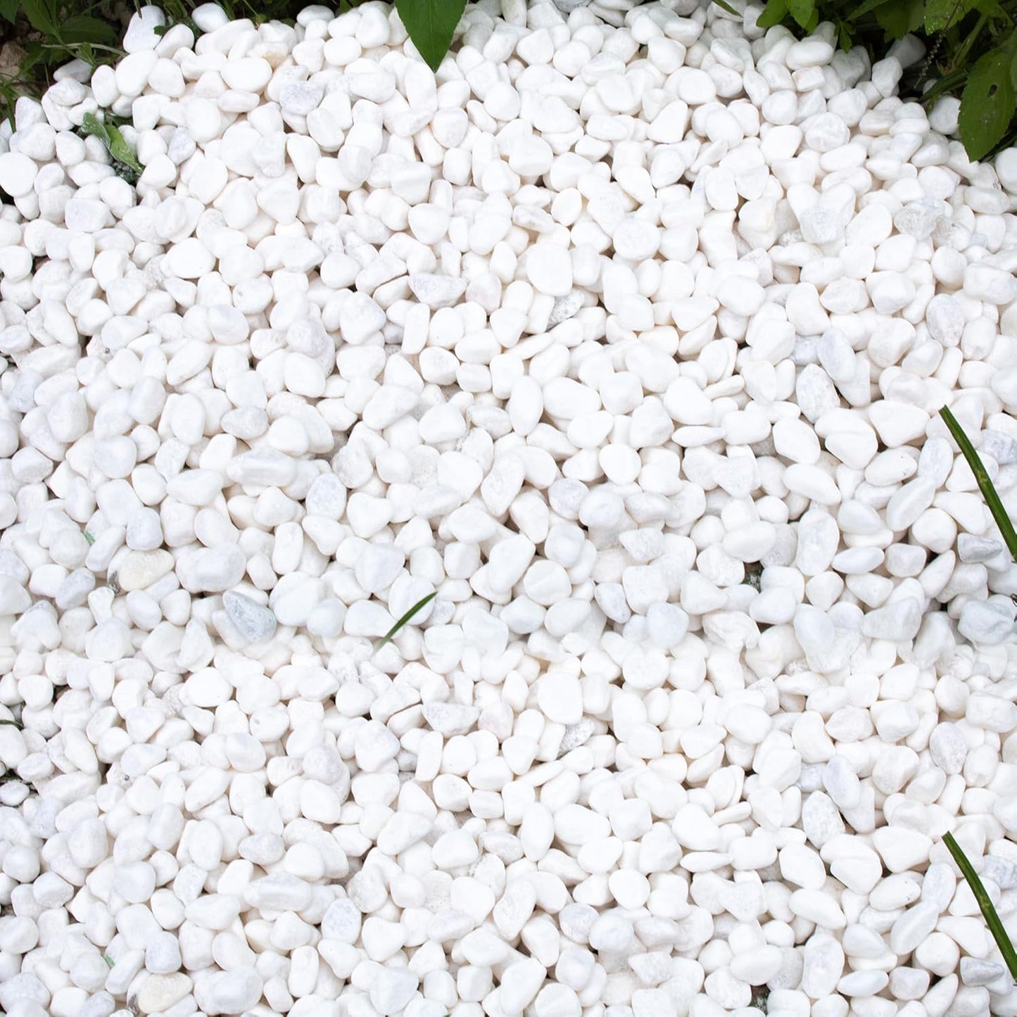 45lb White Rocks for Plants,Potting,Succulents Aquarium Fish Tank Garden Vases Decorative Pebbles