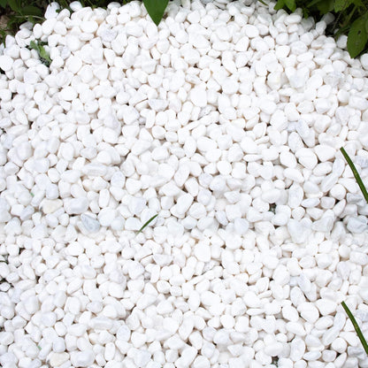 45lb White Rocks for Plants,Potting,Succulents Aquarium Fish Tank Garden Vases Decorative Pebbles