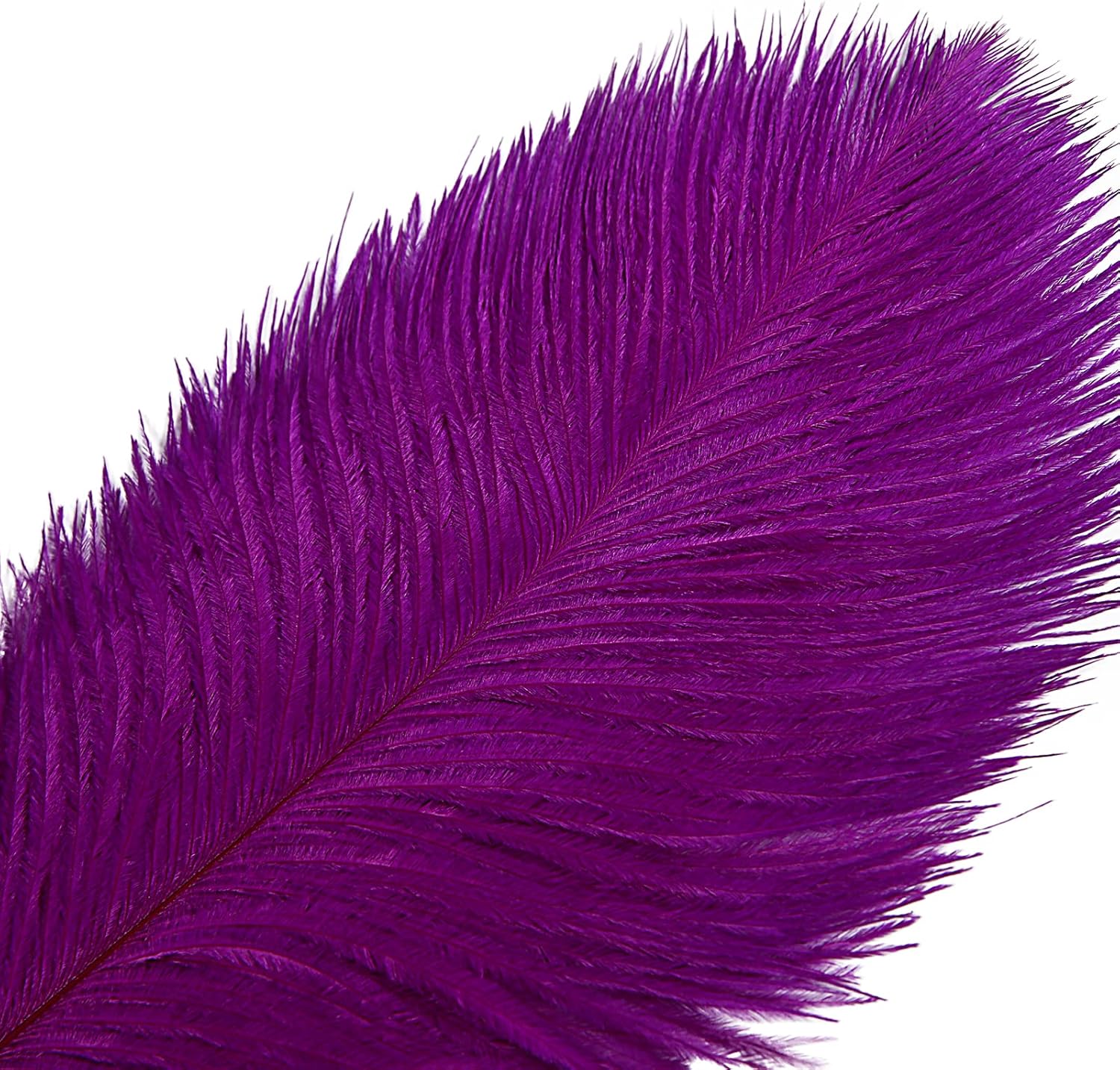 THARAHT Purple Ostrich Feathers 12pcs Large Natural Bulk 20-22Inch 50cm-55cm for Wedding Party