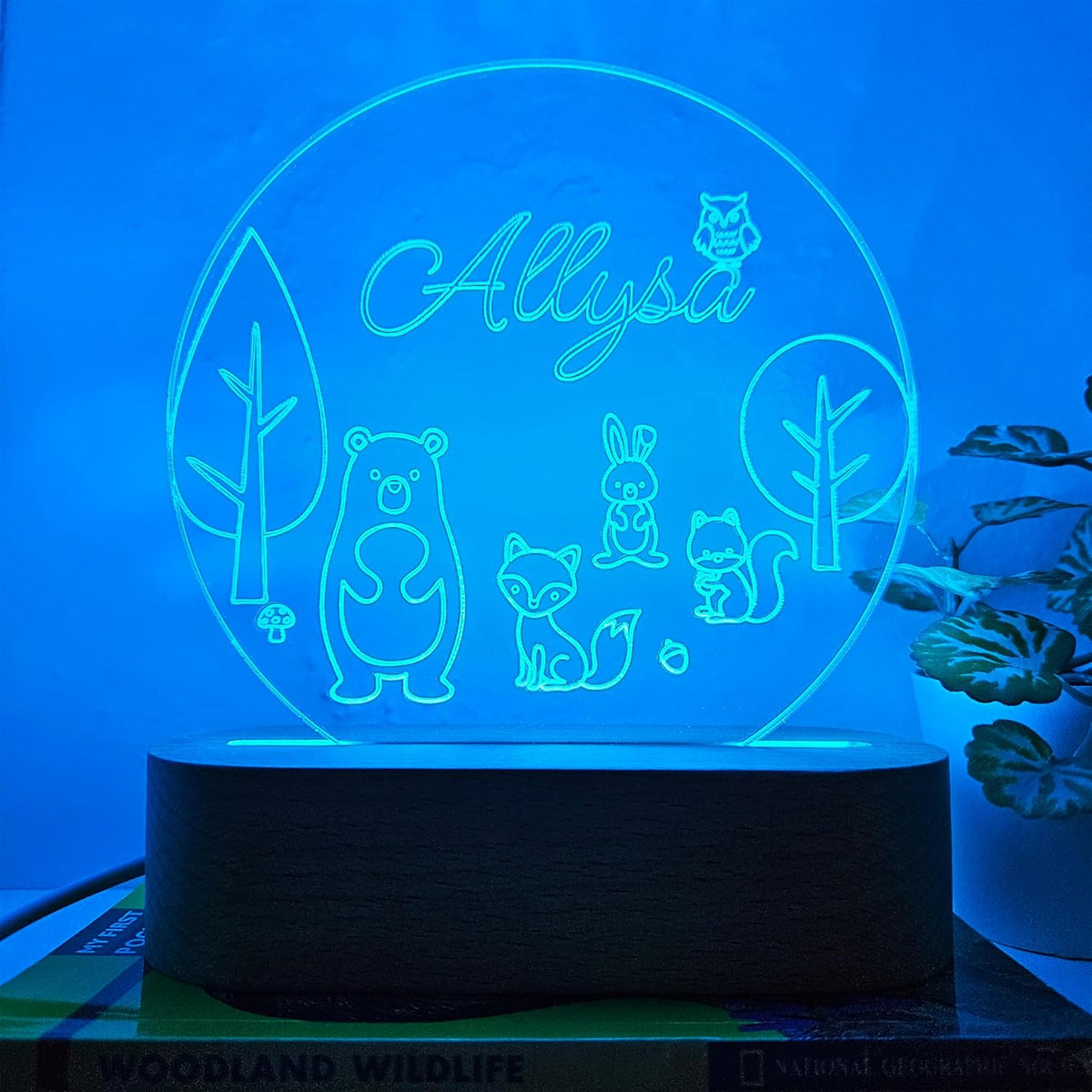 Personalized Night Light | Custom Nightlight for Kids | Nursery Baby Room Decor | Children's