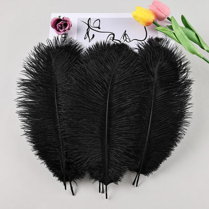 THARAHT Black Ostrich Feathers 24pcs Natural Bulk 10-12Inch 25cm-30cm for Crafts Wedding Party