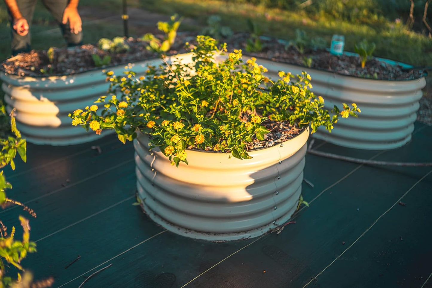 Vego garden 17" Tall 42" Round Raised Garden Bed Metal Raised Bed Planter Box for Vegetables