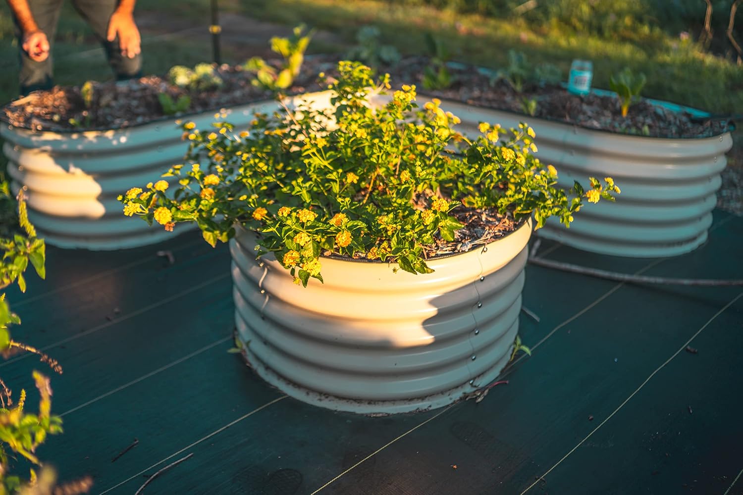 Vego garden 17" Tall 42" Round Raised Garden Bed Metal Raised Bed Planter Box for Vegetables