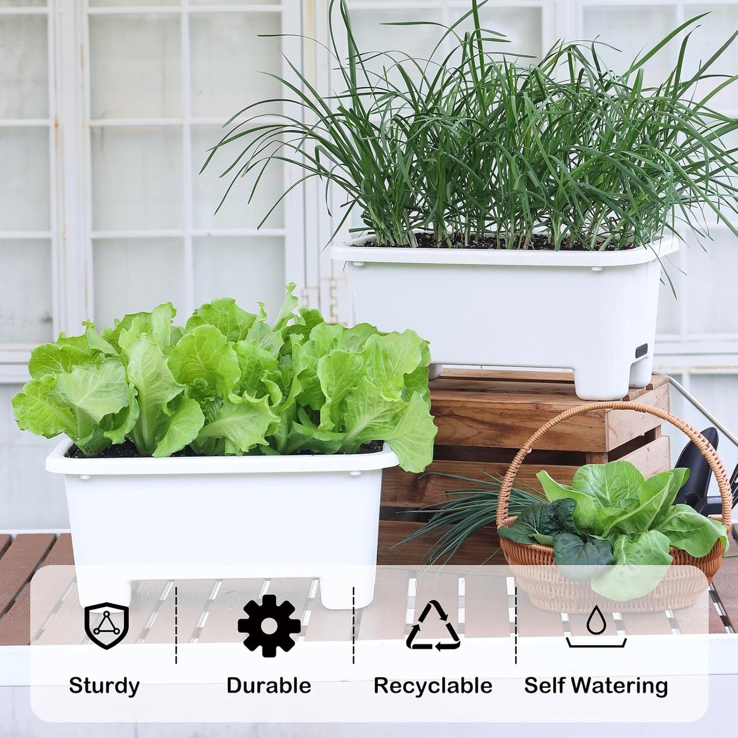 Self-Watering Rectangle Planter Boxes 8-Pack, 15.7-Inch Window Box Planter with Drainage Holes &