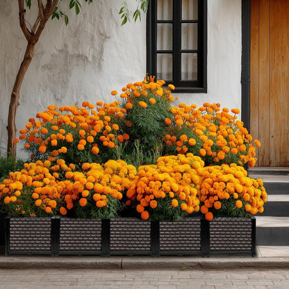 Large Planters for Outdoor Plants 14" Tall Planter Box, Raised Beds for Gardening Self Watering